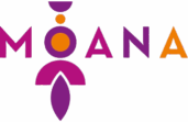 Moana – sklep internetowy